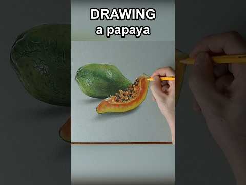 Papaya drawing #art #shorts