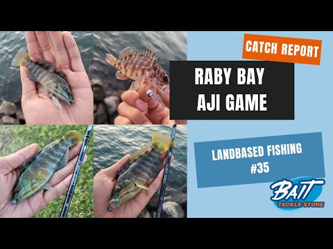 Land Based Fishing #35 - Raby Bay Aji Game