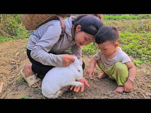 The life of a 17-year-old single mother: Harvesting Vegetables for Sale - Saving Pregnant Rabbits