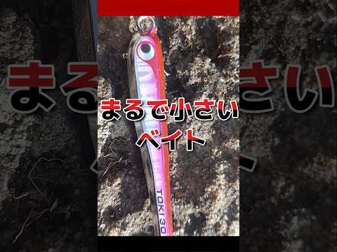 小さいメタルジグを投げると 【ショアジギング】small metal jigs bring ... #fishing