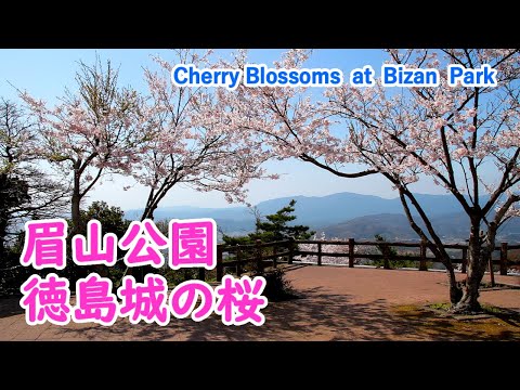 Cherry Blossoms at Tokushima with Relaxing Music ( Tokushima Pref. ) / Spectacular Views of Japan