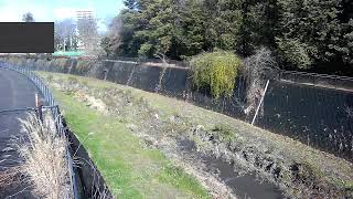 【残堀川】残堀池上映像監視局［立川市泉町］