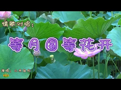 等月圆等花开 - 情歌对唱。演唱：山水组合