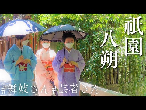 【Beautiful!】Maiko & Geisha wearing a summer kimono in Gion Kyoto "Hassaku" geiko greeting