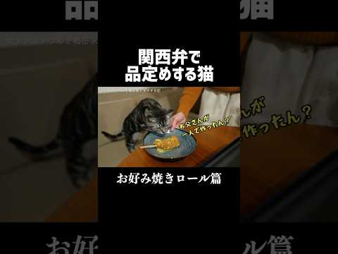 関西弁で品定めする猫 #shorts #猫と料理