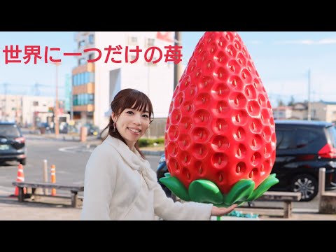 『🍓世界に一つだけの花🍓/SMAP』～🎹栃木ストリートピアノ🎹～