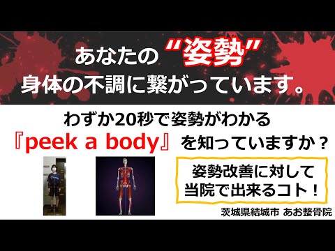 【姿勢改善】姿勢からくる身体の不調を解消する方法5選｜茨城県結城市 あお整骨院