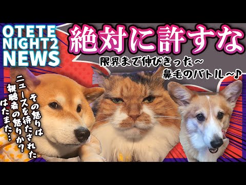 【テンコ盛り】11カ月ぶりのOTTNNN!!