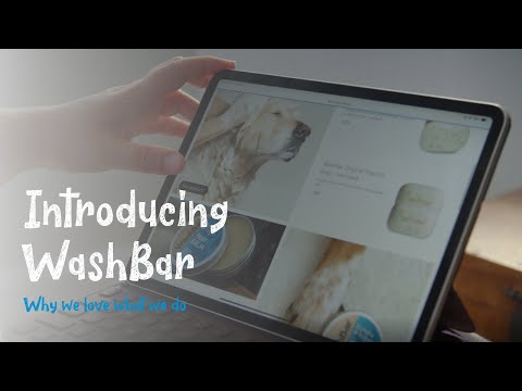 Meet the WashBar Family