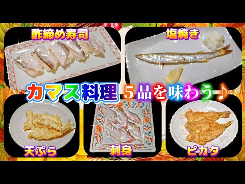 【カマス料理を食べる】ヤバうま!!カマスのフルコース♬