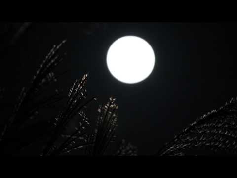 Time Lapse #082 中秋の満月 Harvest moon 2013-09