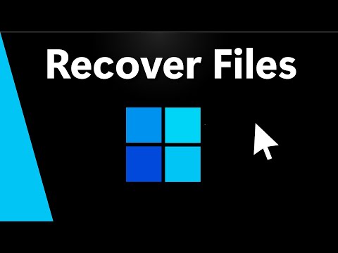 How to Recover Deleted Files on Windows 11 (Permanently Deleted)