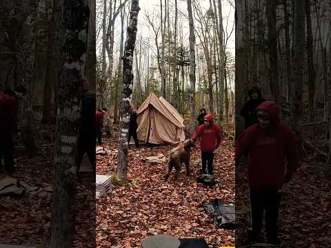 White Duck Scout Rover Tent Set Up #whiteduckoutdoors #hottent #canvastent #camping