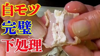 【白モツ】脂が怖い！激ウマにする完璧な下処理！