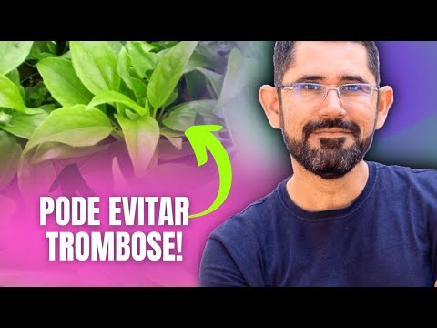 Plantas Para AJUDAR Afinar o Sangue - Evite Trombose!