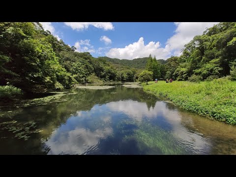 宜蘭福山植物園 2019.08.01