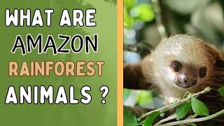 Amazon Rainforest Animals - Educational Video Kids Will Enjoy!