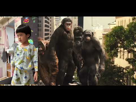 RISE OF THE PLANET OF THE APES #ape #kid 又扮猩猩🤣