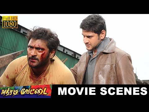 அவனே விட்டுடாதே அஜய்  - Athiradi vettai | Tamil Movie Scene | Mahesh Babu, Samantha