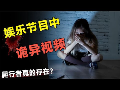 深海秘境，巨型未知生物，盘点双子座娱乐节目中的诡异视频！