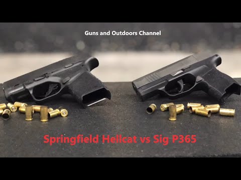 Hellcat vs. P365 - Who Wins?