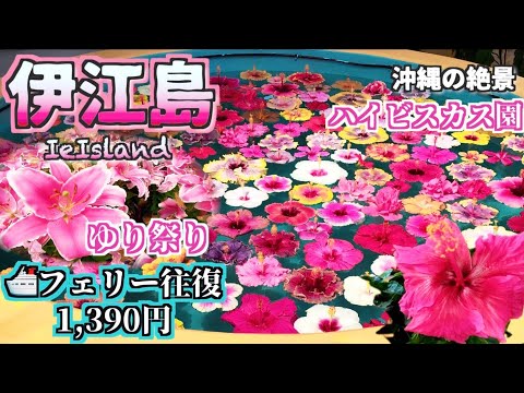 【沖縄旅行 伊江島】花の楽園  日帰り往復1390円/ ゆり祭り/ ハイビスカス園 / 伊江ビーチ/ 伊江島タッチュー   /よなじいとあき Okinawa Japan Ie Island【沖縄旅行】