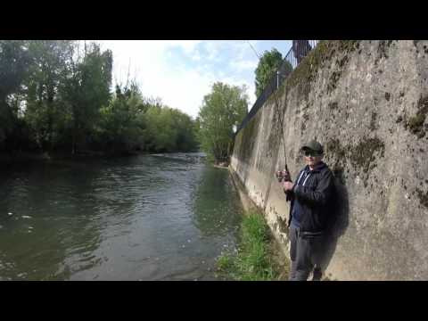 énorme truite arc , en équipe