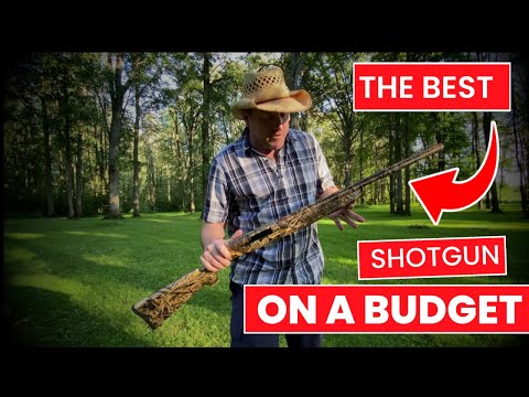 BUDGET SHOTGUN THAT WORKS? Charles Daly 601 Semi Automatic