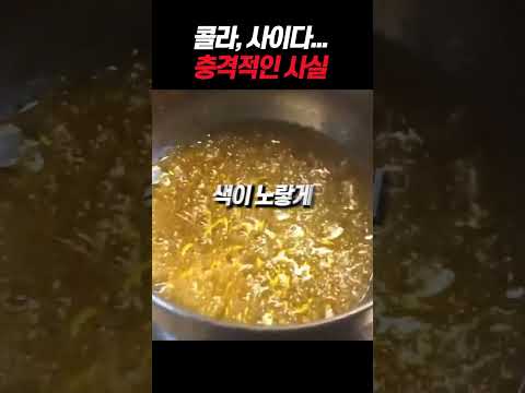 콜라 사이다의 충격적 진실 (제발 그만 드세요)