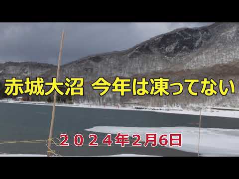 凍ってない赤城大沼 2024年2月6日