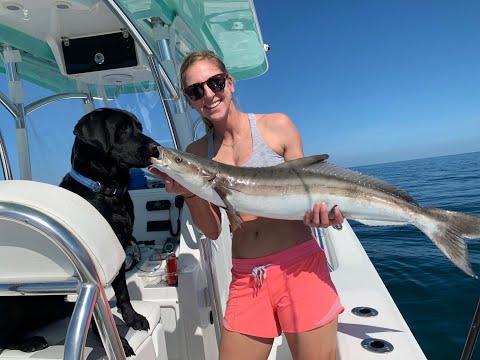 Captains day off catching cobia with my Olympian Wife!! Catch Clean Cook