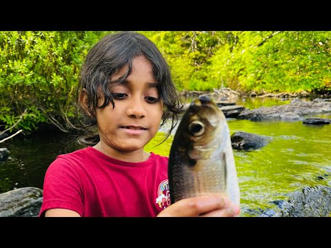 Fishing in middle of Forest | Canada 🇨🇦