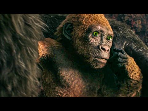 Godzilla x Kong: The New Empire Clip - “Is That A Baby Kong?" (2024)