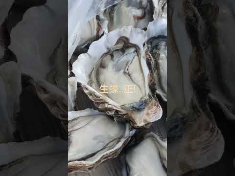 奥克蘭新鮮生蠔在那裏?#oysters