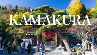 秋の鎌倉散策 Autumn Walk in Kamakura