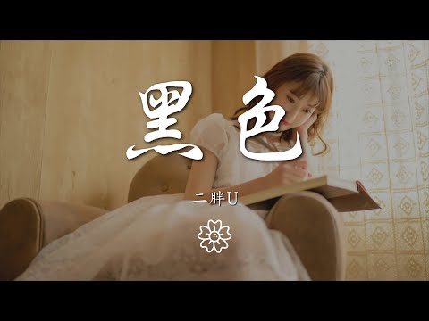 二胖u（王訫） - 黑色『那自命不凡的沉默』【動態歌詞Lyrics】