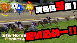 【競馬ゲーム】実名馬クエ５頭出し！年末に向けて追い込み体制！　スターホースポケット (star horse pocket)