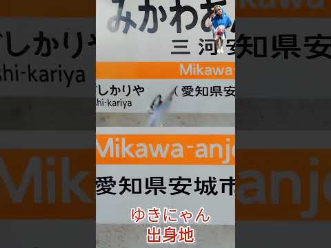 ゆきにゃんの出身地三河安城行ってきたよ💛#ゆきにゃん#愛知#三河安城