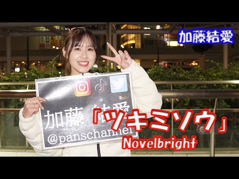 【歌ってみた】加藤結愛さん Novelbright「ツキミソウ」路上ライブ