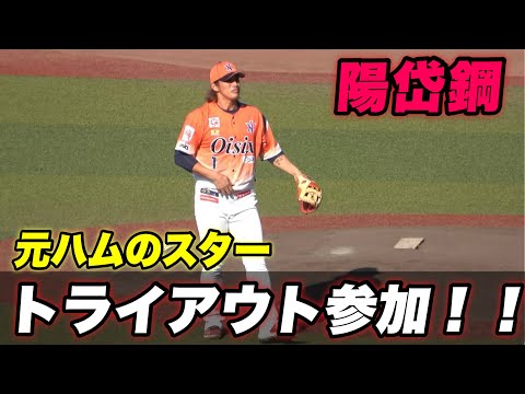 【いきなりレフトに大飛球と打撃力は健在か？1人だけオーラが違う陽岱鋼がトライアウトに参加！】