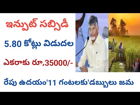 పంట నష్టపరిహారం డబ్బులు విడుదల ఎకరాకు రూ,35000 || ap input subsidy 2024 status@ConnectingChandra