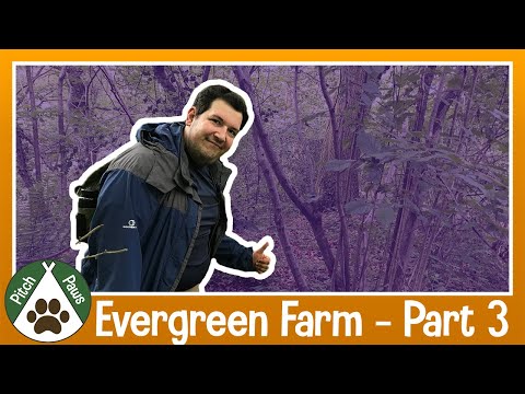 WHAT TO DO WHILST CAMPING | Explore UK Countryside by GEOCACHING | Part 3 - Evergreen Farm