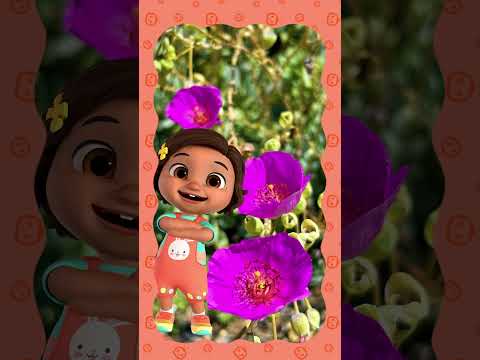 Counting Flowers Fun! 🌸 | 🍉 CoComelon - JJ's Baby Songs 🎶 #shorts #ninatime