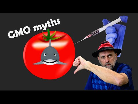 The Truth about GMOs that Every Gardener Should Know