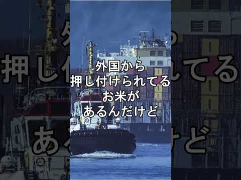 【🙇1000億の間違い🙇】毎年1兆円使って、国民に届かない米  #米騒動 #令和の米騒動 #ゆっくり解説