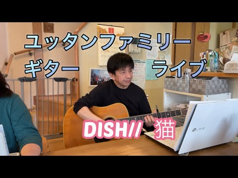 ユッタンファミリー　ギターライブ  DISH//  猫