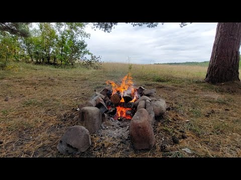 Bushcraft cooking. Красота осеннего леса. Отдых в лесу. Мясо на костре.