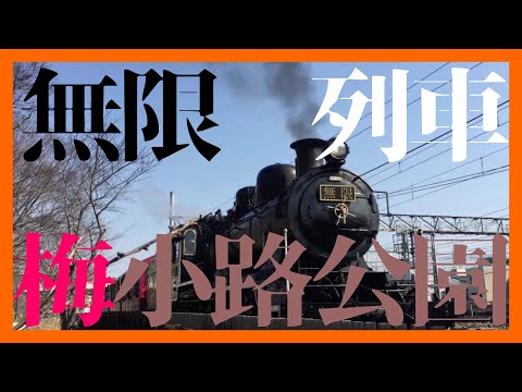 無限列車@梅小路公園/看梅花盛開然後轉頭就坐上列車討伐鬼feat. 東寺餅@寶池公園＠宝ヶ池公園