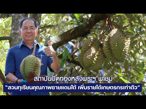 สถาบันปิดทองหลังพระฯ พาชม “สวนทุเรียนคุณภาพชายแดนใต้ เพิ่มรายได้เกษตรกรเท่าตัว”