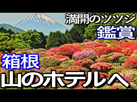 神奈川ゆる旅【箱根】芦ノ湖の湖畔にある山のホテルで満開のツツジを鑑賞